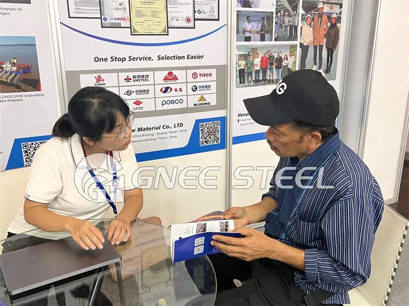 Low Alloy High Strength Steel Low Alloy High Strength Steel