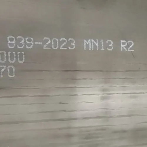 প্রতিরোধী ইস্পাত পরেন